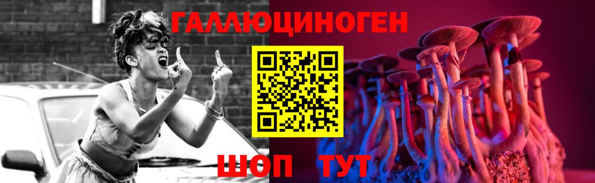 Галлюциногенные грибы Psilocybe  Вход с VPN  Губкинский 